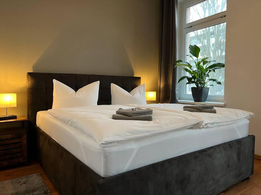 Apartament Akk6 Designpartment Naehe Hbf Uni Oper Magdeburg Zewnętrze zdjęcie